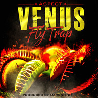 Thumbnail for the Aspect - Venus Fly Trap link, provided by host site