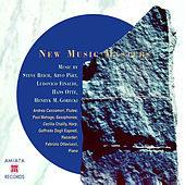 Thumbnail for the Steve Reich - Vermont Counterpoint link, provided by host site
