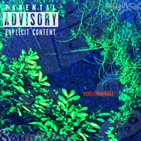 Thumbnail for the Pound - Vero Criminale link, provided by host site