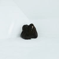 Thumbnail for the Chelsea Wolfe - Vex link, provided by host site
