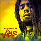 Thumbnail for the Skip Marley - Vibe link, provided by host site