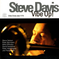 Thumbnail for the Steve Davis - Vibe Up! link, provided by host site