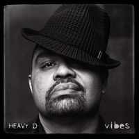 Thumbnail for the Heavy D - Vibes link, provided by host site