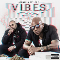 Thumbnail for the Berner - Vibes link, provided by host site