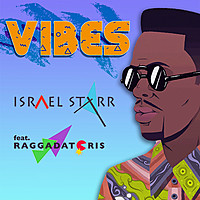 Thumbnail for the Israel Starr - Vibes link, provided by host site