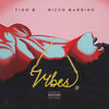 Thumbnail for the Tigo B - Vibes link, provided by host site