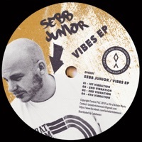 Thumbnail for the Sebb Junior - Vibes link, provided by host site