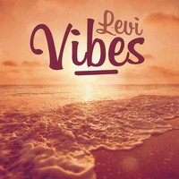 Thumbnail for the Levi - Vibes link, provided by host site