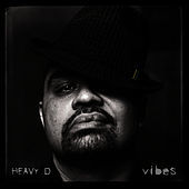 Thumbnail for the Heavy D - Vibes link, provided by host site