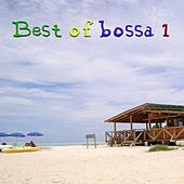 Thumbnail for the Evandro Reis - Vibes link, provided by host site