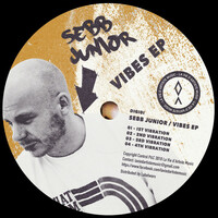 Thumbnail for the Sebb Junior - Vibes link, provided by host site