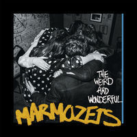 Thumbnail for the Marmozets - Vibetech link, provided by host site