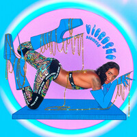 Thumbnail for the Siamese - Vibração link, provided by host site
