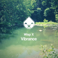 Thumbnail for the Wisp X - Vibrance link, provided by host site