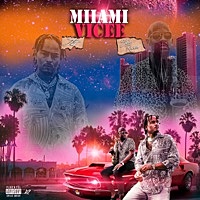 Thumbnail for the Jitt - Vice (Intro) link, provided by host site