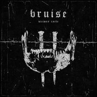 Thumbnail for the The Bruise - Vicious Cycle link, provided by host site