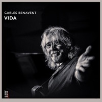 Thumbnail for the Carles Benavent - Vida link, provided by host site