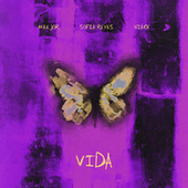 Thumbnail for the Maejor - Vida link, provided by host site