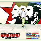 Thumbnail for the Gilles Peterson - Vida link, provided by host site