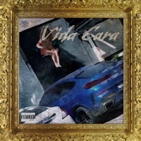 Thumbnail for the Orochi - Vida Cara link, provided by host site