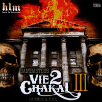 Thumbnail for the Sambastoss - Vie 2 chakal, vol. 3 link, provided by host site