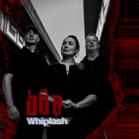 Thumbnail for the BoA - Vienna link, provided by host site