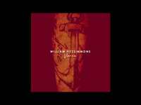 Thumbnail for the William Fitzsimmons - "Vienna" link, provided by host site