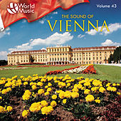 Thumbnail for the The New 101 Strings Orchestra - Vienna Life link, provided by host site