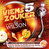 Thumbnail for the Dj Wilson - Viens zouker, vol. 5 link, provided by host site
