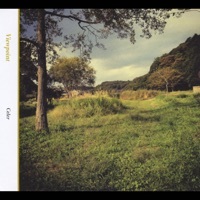 Thumbnail for the Celer - Viewpoint link, provided by host site
