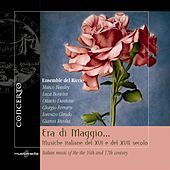 Thumbnail for the Ensemble del Riccio - Villan di Spagna link, provided by host site