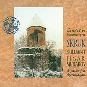 Thumbnail for the Skruk - Villan Villan vei link, provided by host site