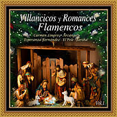 Thumbnail for the Esperanza Fernandez - Villancico de las Estrellas Altas link, provided by host site