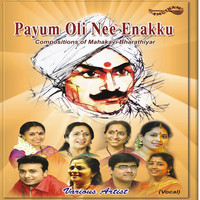 Thumbnail for the P Unni Krishnan - Villinai yotta - Kavadi Chindu - Adi (Tisra Nadai) link, provided by host site