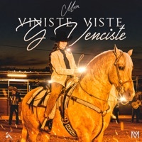 Thumbnail for the Mosa - Viniste, Viste y Venciste link, provided by host site