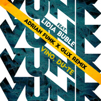 Thumbnail for the Vunk - Vino, du-te (Adrian Funk & OLiX Remix) link, provided by host site
