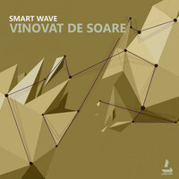 Thumbnail for the Smart Wave - Vinovat De Soare link, provided by host site