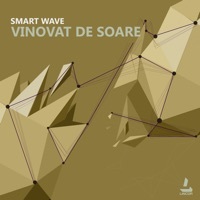 Thumbnail for the Smart Wave - Vinovat De Soare link, provided by host site