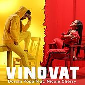 Thumbnail for the Dorian Popa - Vinovat link, provided by host site