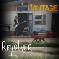 Thumbnail for the Revolver - Vintage link, provided by host site