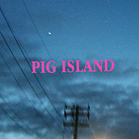 Thumbnail for the Pig Island - Violent Voices link, provided by host site
