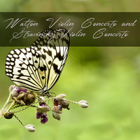 Thumbnail for the William Walton - Violin Concerto in B Minor: I. Andante tranquillo link, provided by host site