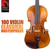 Thumbnail for the Dalibor Brazda - Violin Concerto in D Major, Op. 35: I. Allegro Moderato link, provided by host site