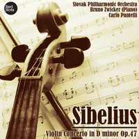 Thumbnail for the Bruno Zwicker - Violin Concerto in D Minor, Op.47: I. Allegro moderato link, provided by host site