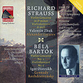 Thumbnail for the Valentin Zhuk - Violin Concerto in D Minor, Op. 8: I. Allegro link, provided by host site