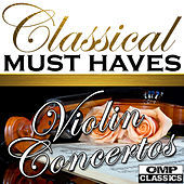Thumbnail for the Valentin Zhuk - Violin Concerto in D Minor, Op. 8: II. Lento, ma non troppo link, provided by host site