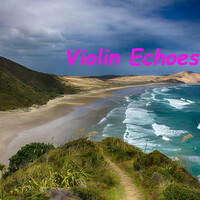 Thumbnail for the Paul James - Violin Echoes link, provided by host site