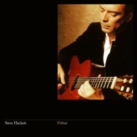 Thumbnail for the Steve Hackett - Violin Partita No. 2 in D Minor, BWV 1004: V. Chaconne (Arr. for Guitar by Steve Hackett) [Remastered 2015] link, provided by host site