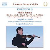Thumbnail for the Joseph Lin - Violin Recital: Joseph Lin link, provided by host site