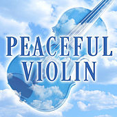 Thumbnail for the Jaime Laredo - Violin Sonata No. 2 in A Major, Op. 100: II. Andante tranquillo - Vivace link, provided by host site